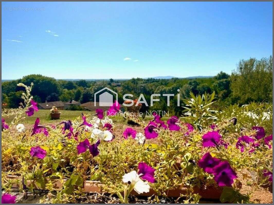 Photo 2 - Maison à CORCELLES-EN-BEAUJOLAIS