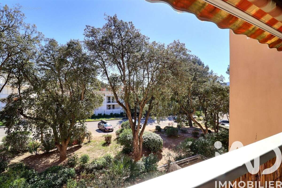 Photo 8 - Appartement à SAINT-MANDRIER-SUR-MER