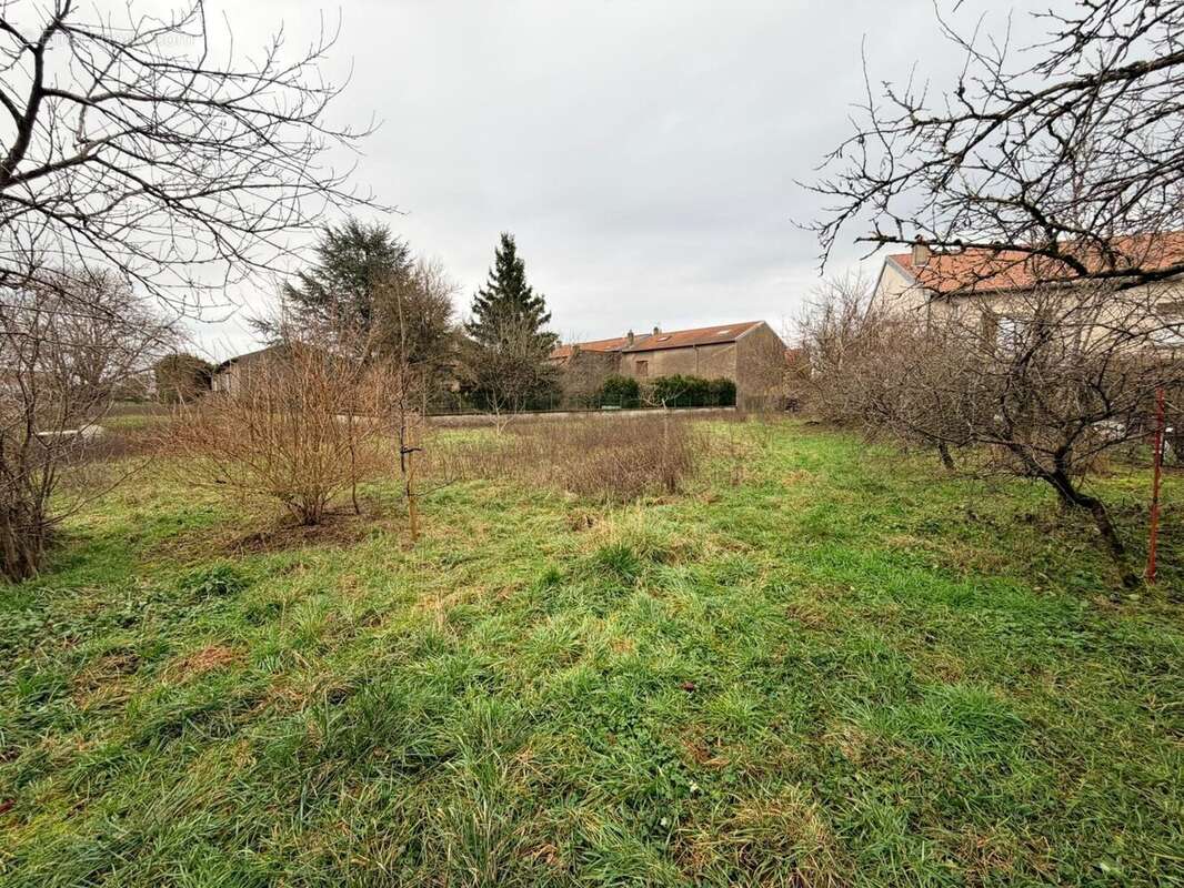 Terrain à VIEVILLE-EN-HAYE