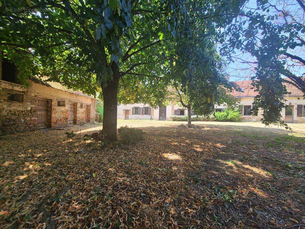 Maison 221 m² avec terrain de 5 000 m² - Mouliherne (49390) - photo 3