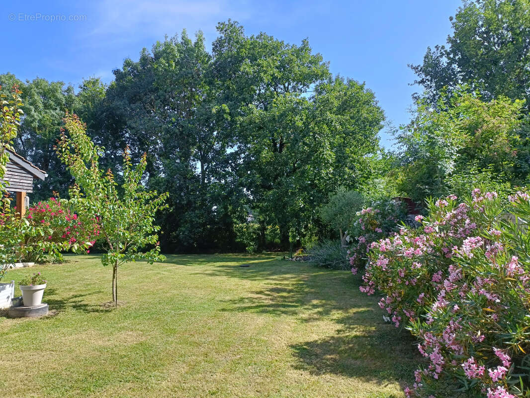 Maison à MARSSAC-SUR-TARN