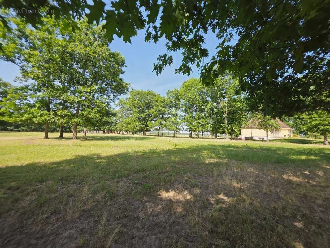 Belle maison entre Eymet et Duras avec 4 hectares de terrain - photo 33