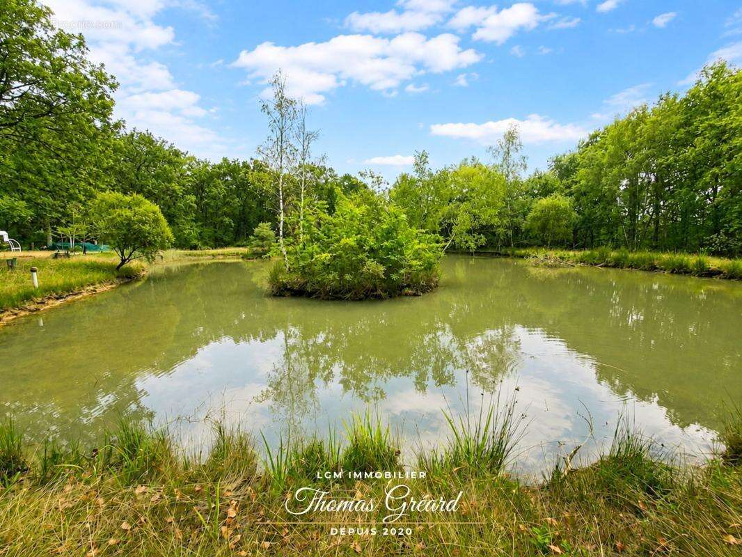Terrain de loisirs 19 969 m² avec étang de pêche à Mur-de-Sologne - photo 2