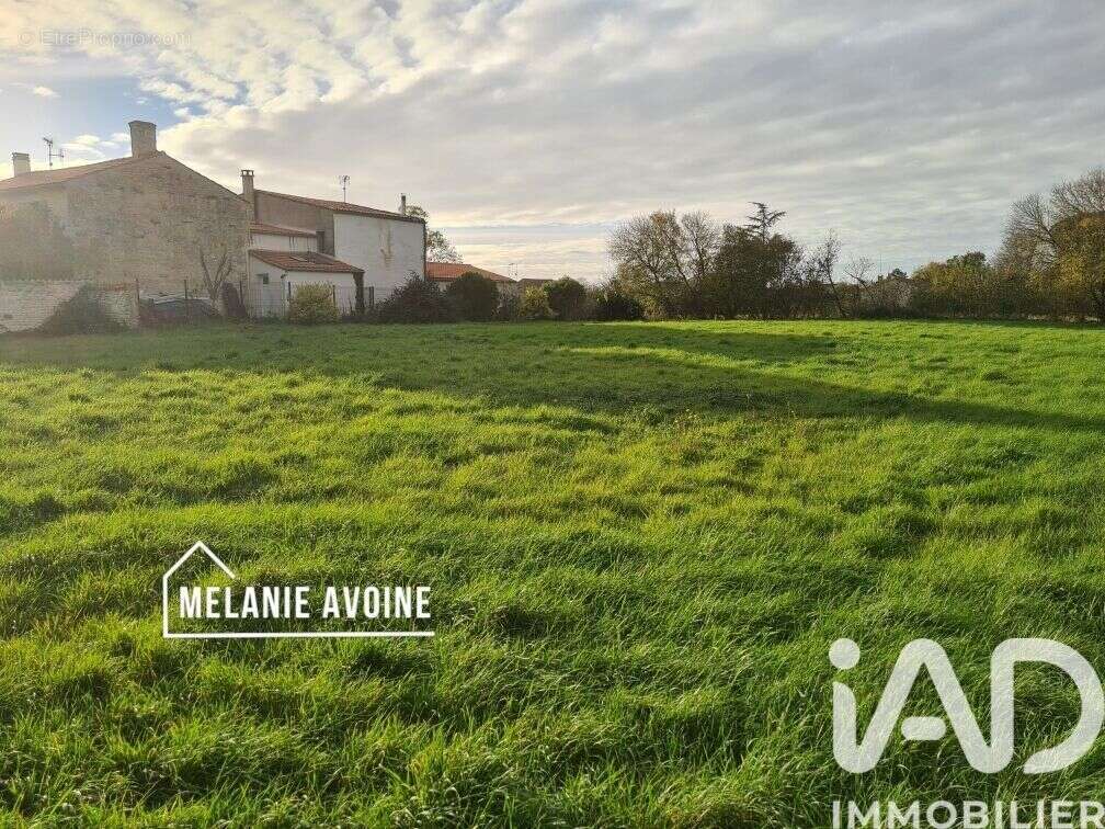 Photo 3 - Terrain à LE THOU