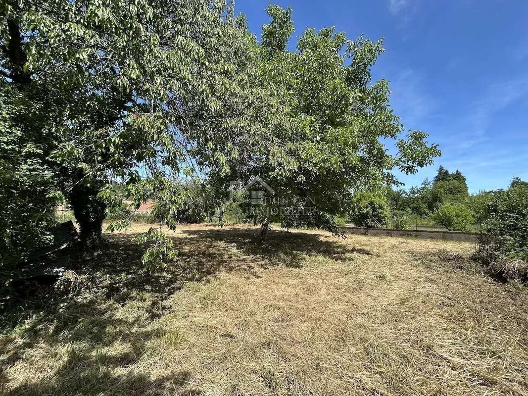 Terrain à bâtir - 979m² - photo 4