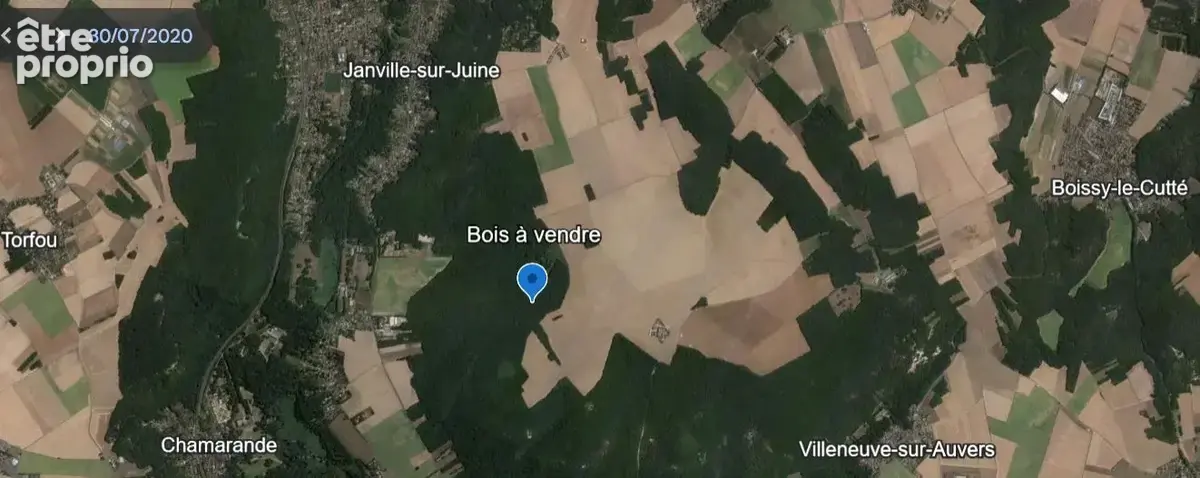 Janvlle sur juine parcelle de bois 10118m2 a vendre - photo 1