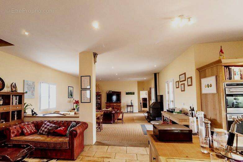 salon-salle à manger lumineux et ouvert luminous open plan lounge dining room bright - Maison à PLAISANCE