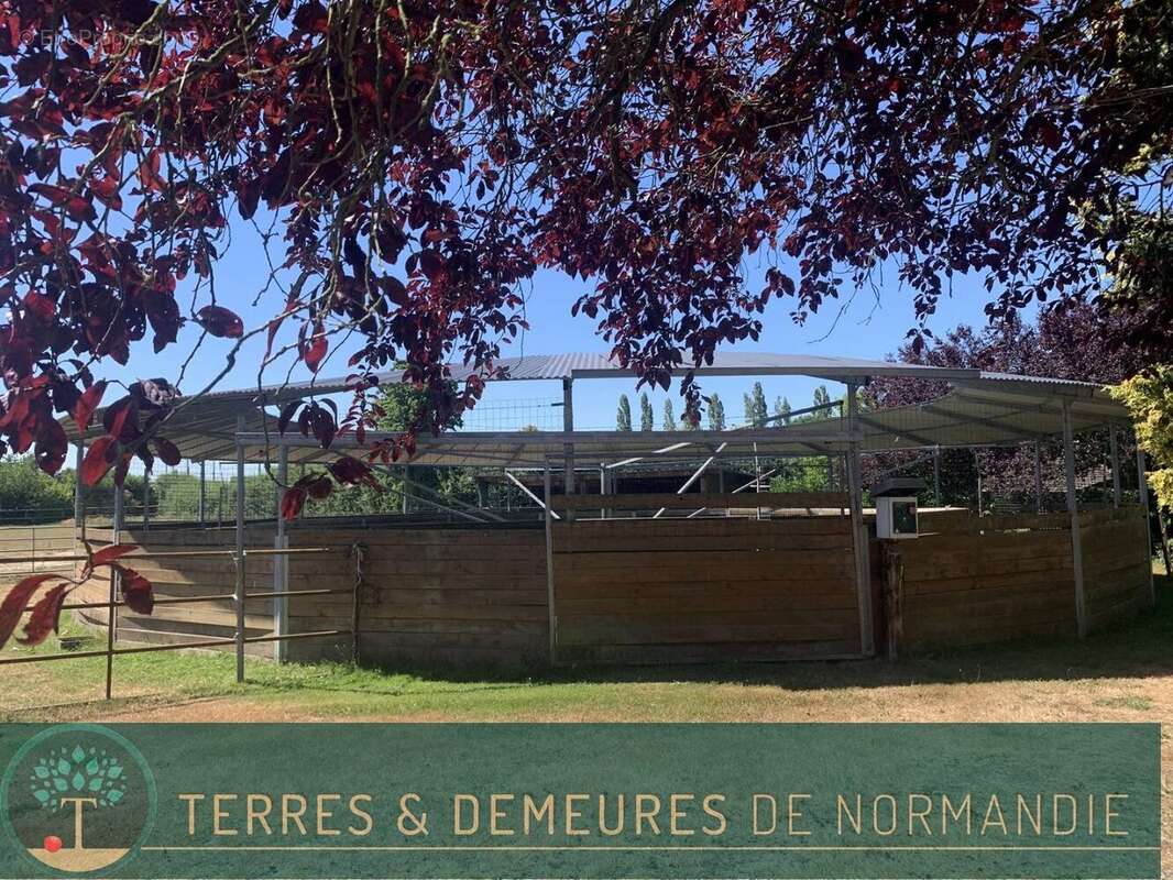 En NORMANDIE, département de l'EURE, à proximité de BEAUMESNIL, une propriété équestre avec 12 ha 40 a - photo 6