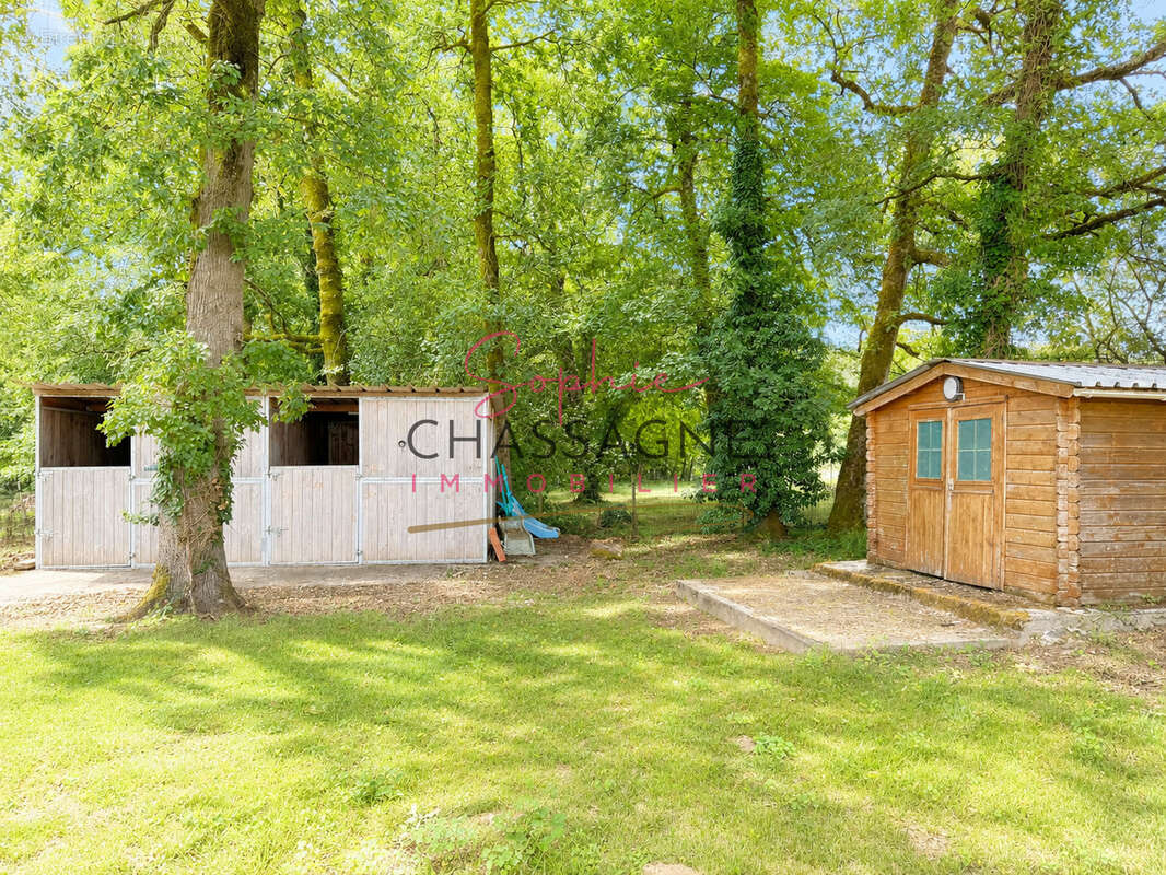 À 30 minutes de Bergerac   Propriété équestre avec 3 logements attenants sur plus de 4 hectares - photo 28