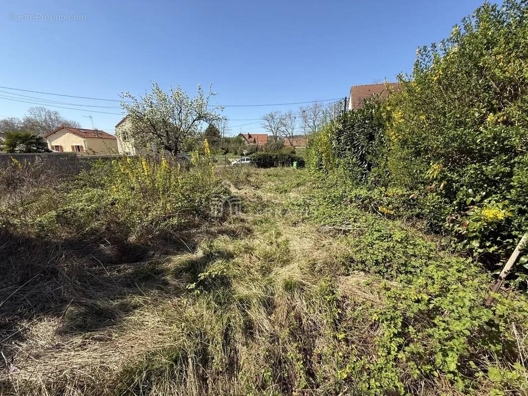 Terrain à SAINT-OUEN-L&#039;AUMONE