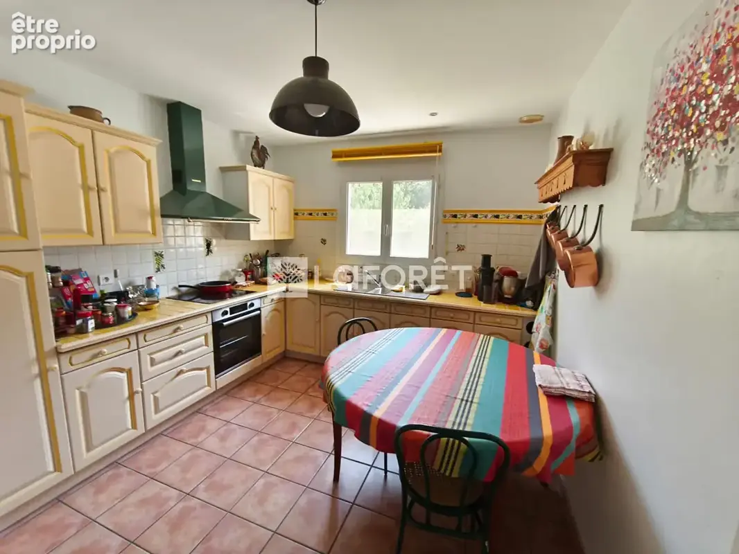 Maureillas : Charmante maison de plain-pied avec jardin et panneaux solaires - photo 11
