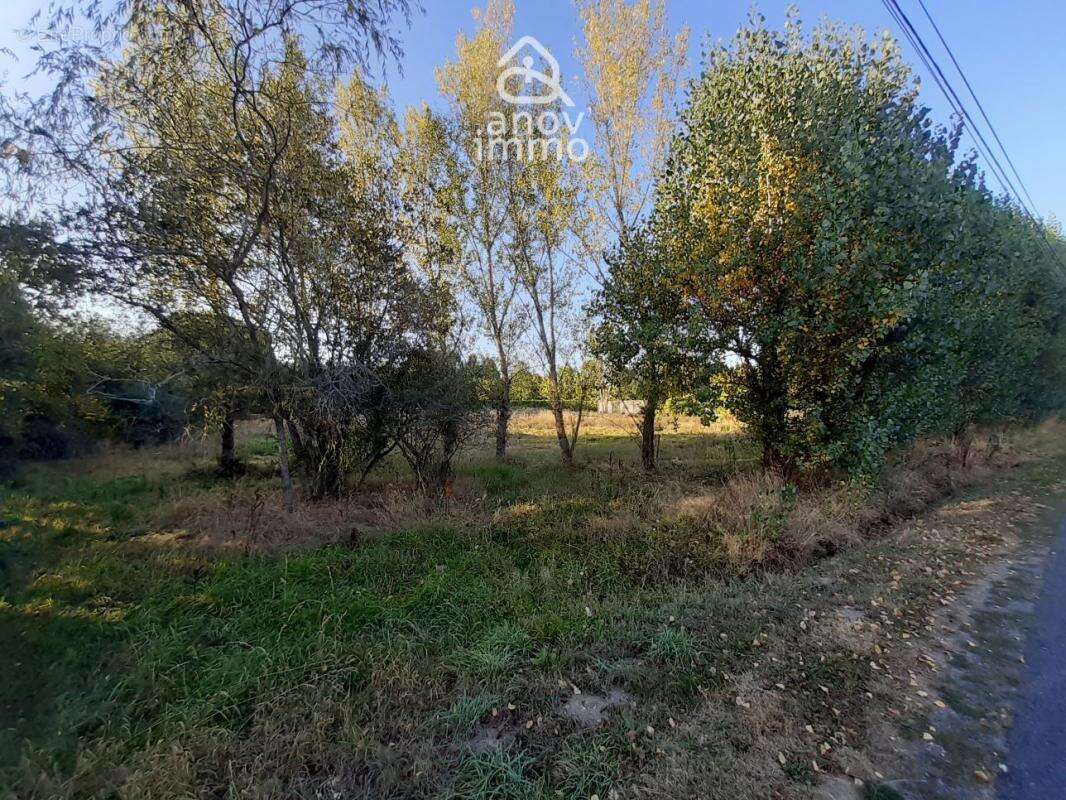 Votre Havre de Paix à Saint-Junien : Terrain Constructible d - photo 3