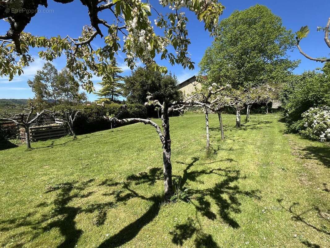 IMG1608 - Maison à FIGEAC