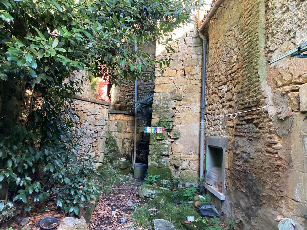 IMG_9949.jpeg - Maison à SAINT-CYPRIEN