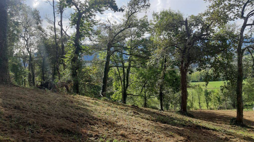 Terrain à SEVIGNACQ-MEYRACQ