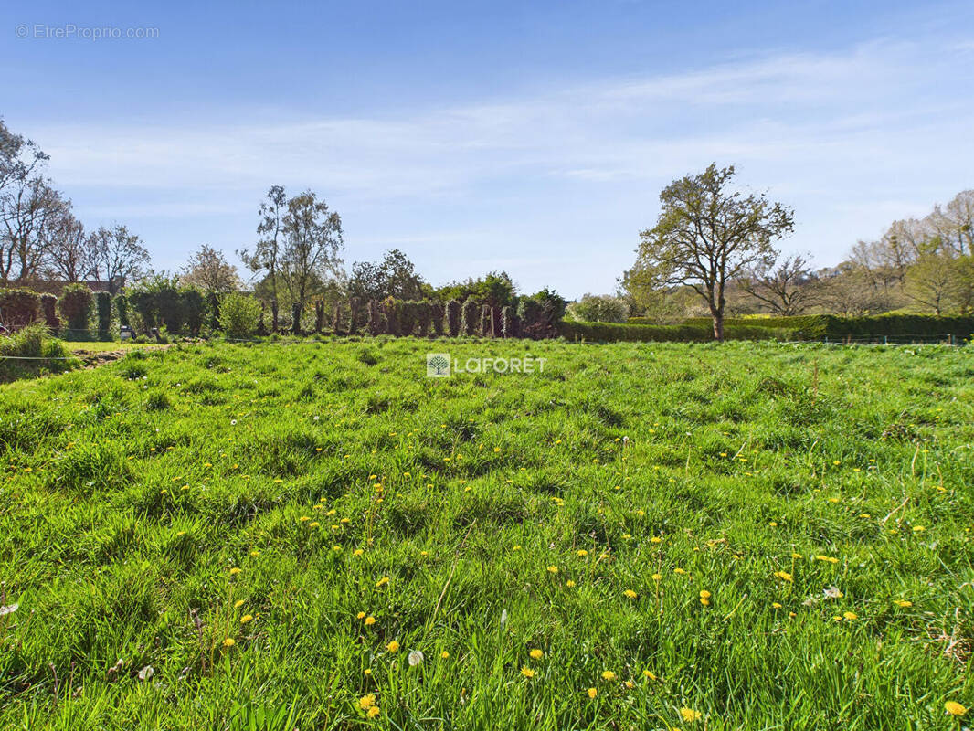 Terrain à SAINT-COULITZ