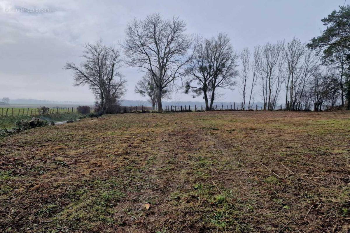 Terrain à MONTAGNY-LES-SEURRE