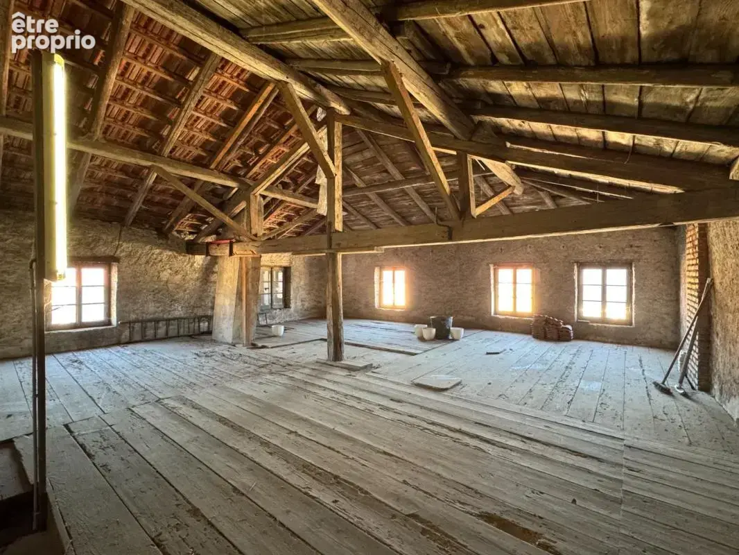 Maison de caractère du XIXe siècle (1850) sur une parcelle de 466 m²  BLAINVILLE SUR L'EAU (54) - photo 17