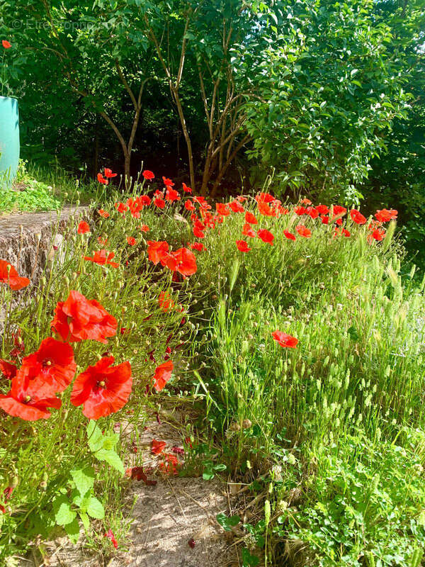 Maison à CALUIRE-ET-CUIRE