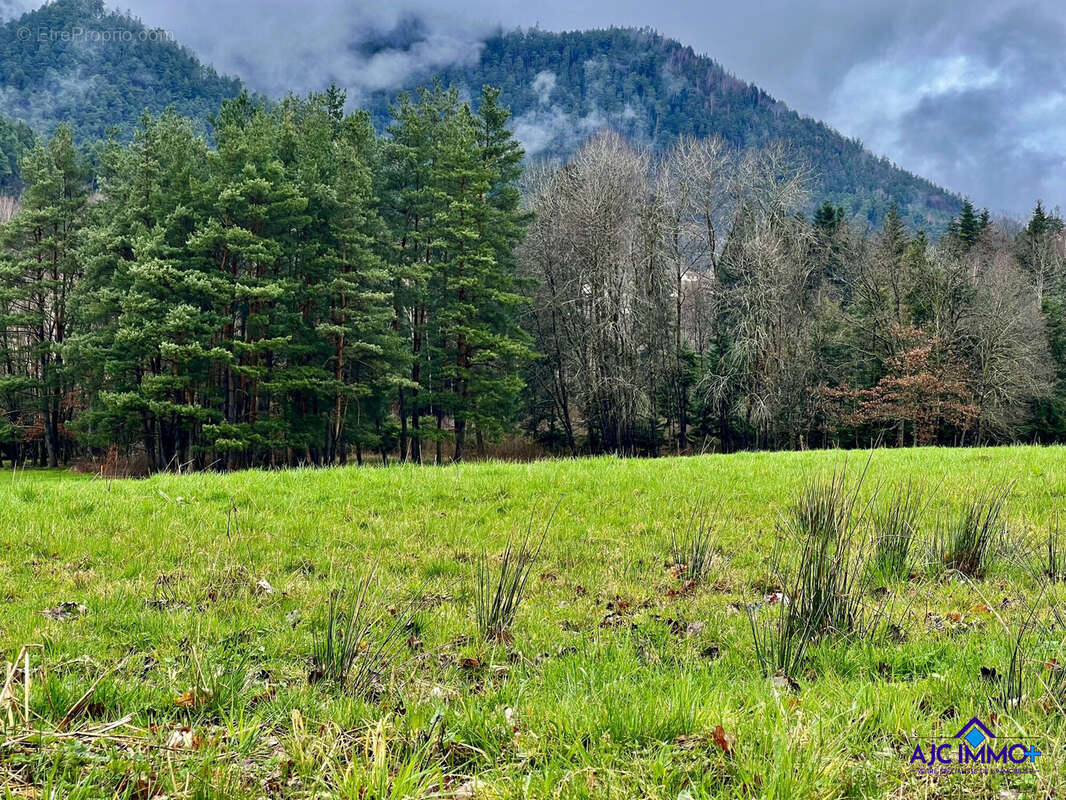 Terrain à SAINT-DIE-DES-VOSGES