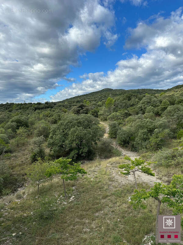 Maison à DURFORT-ET-SAINT-MARTIN-DE-SOSSENAC