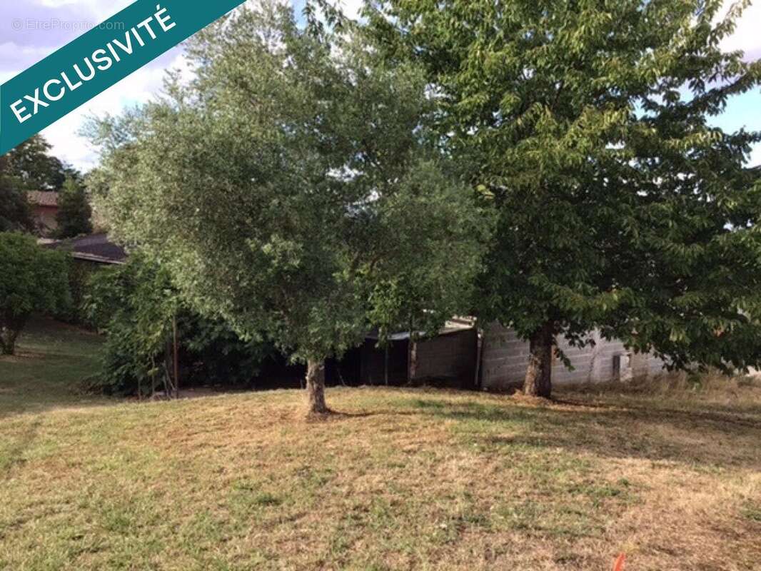 Photo 8 - Commerce à CASTILLONNES