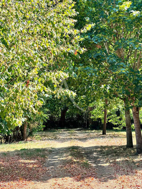 Propriété  avec moulin,  Charme et potentiel exceptionnel - photo 17