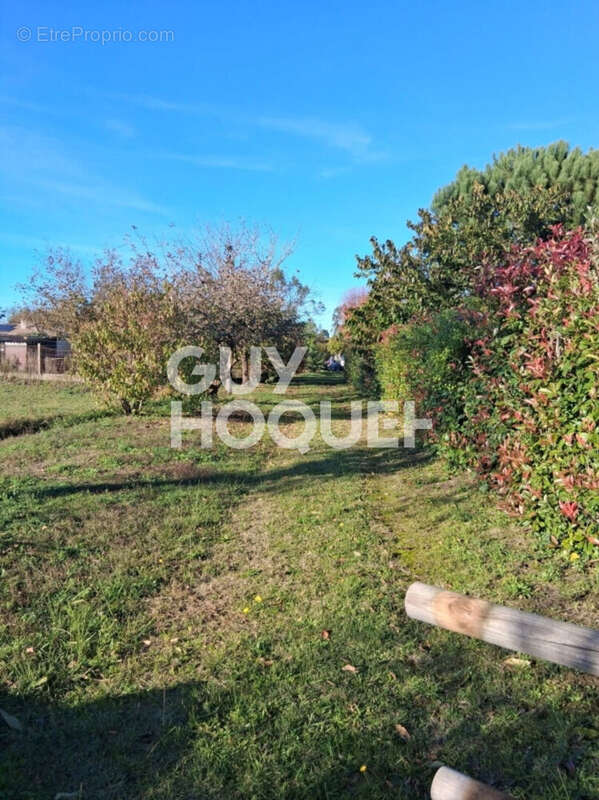 Maison à HAUT-MAUCO