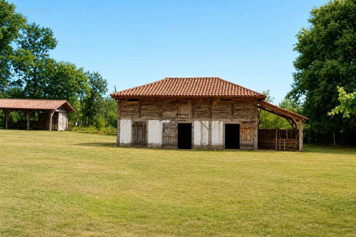 Magnifique et authentique Airial des Landes - photo 5