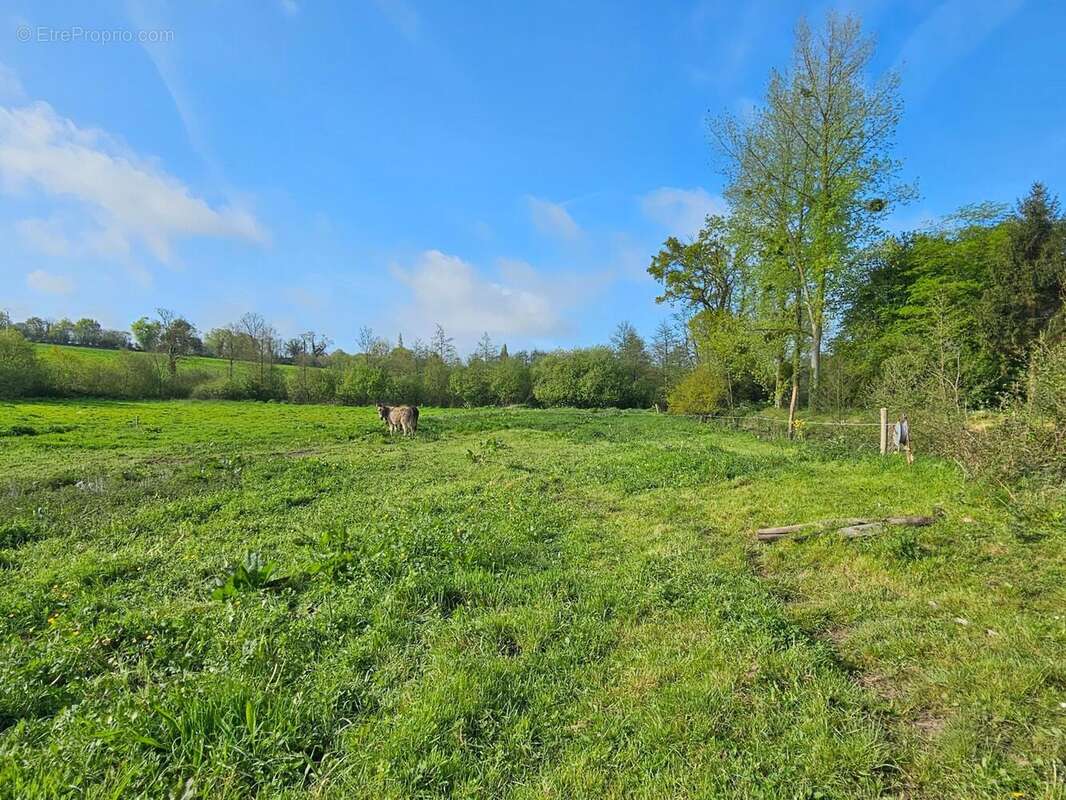 Photo 7 - Maison à MUNEVILLE-LE-BINGARD