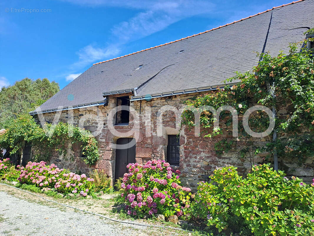 Maison à MESQUER