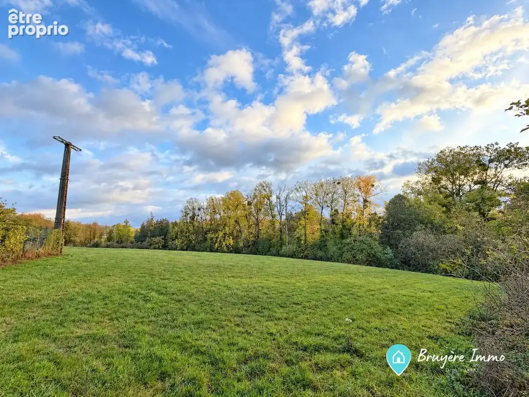 Terrain 36 000 m² à vendre à Fourmies (59610) - photo 5