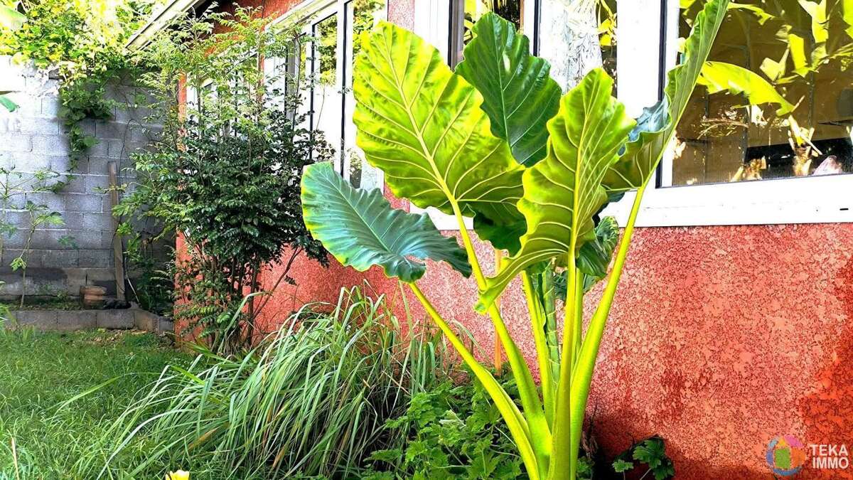 Maison à LA POSSESSION