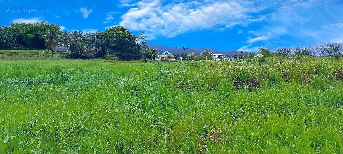 Photo 2 - Terrain à LAMENTIN