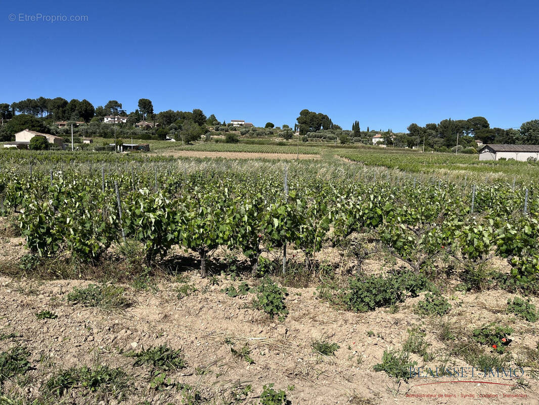 Terrain à LE CASTELLET