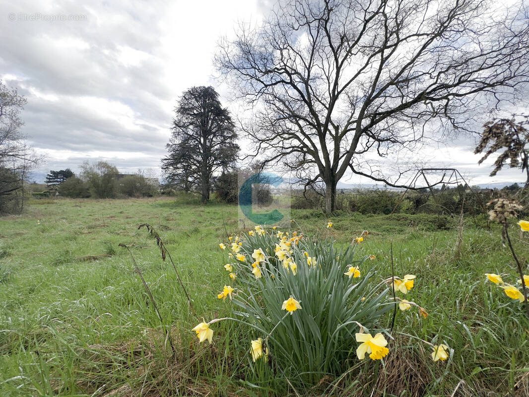 Terrain à PREVESSIN-MOENS