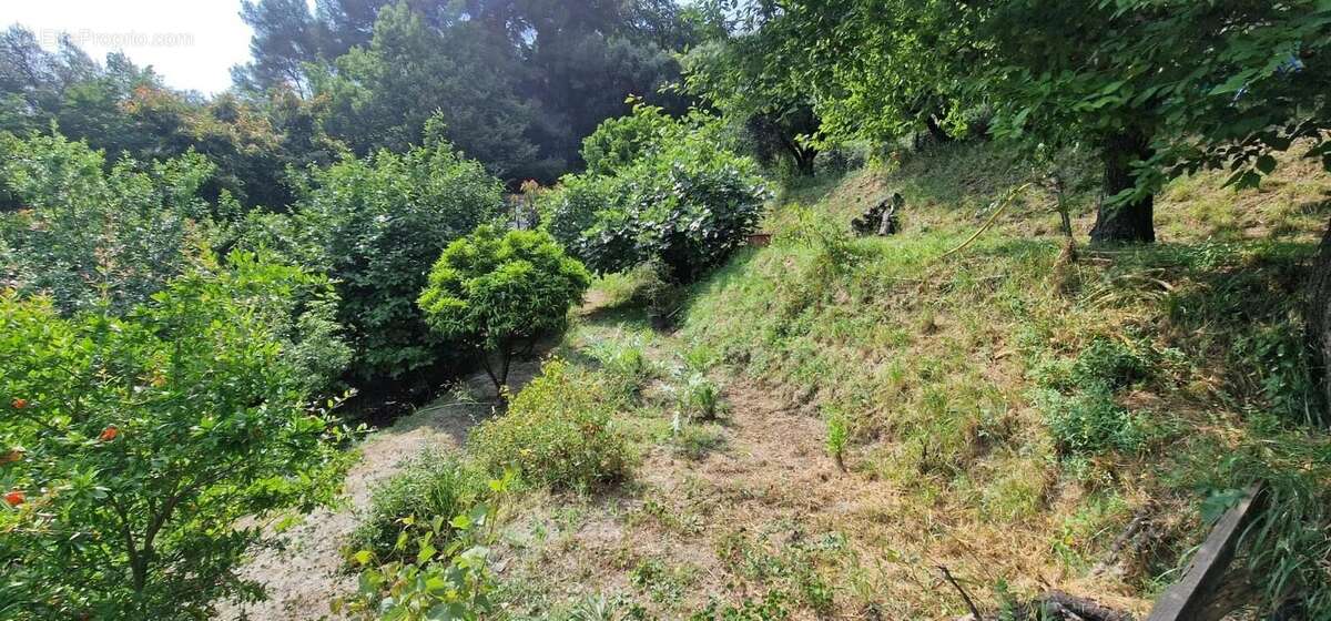 Terrain à MENTON