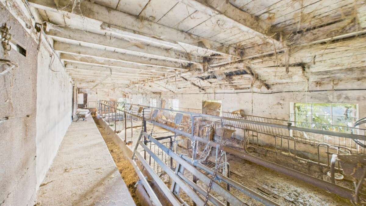 Maison à SAINT-CYPRIEN-SUR-DOURDOU