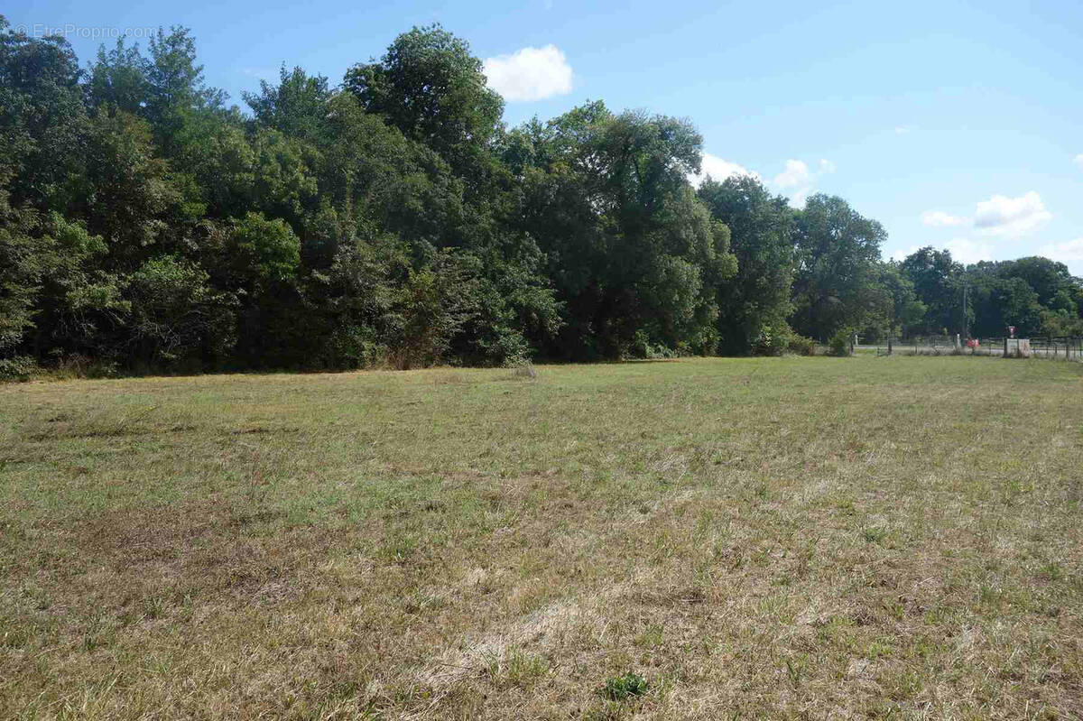 Terrain à CAMPUGNAN