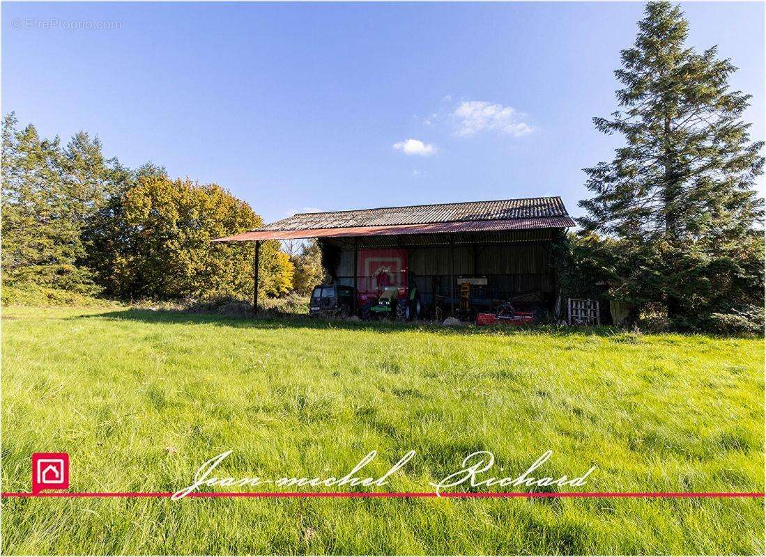 Propriété de chasse Sologne 42 hectares - photo 6