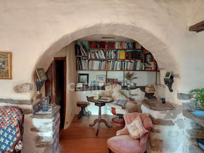 Maison à VIEILLEVIE