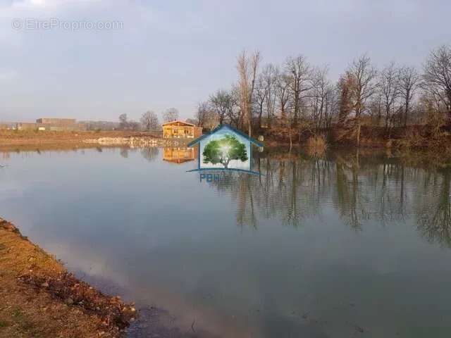 BURNHAUPT-LE-HAUT (68) - Etang sur 12887m² - photo 2
