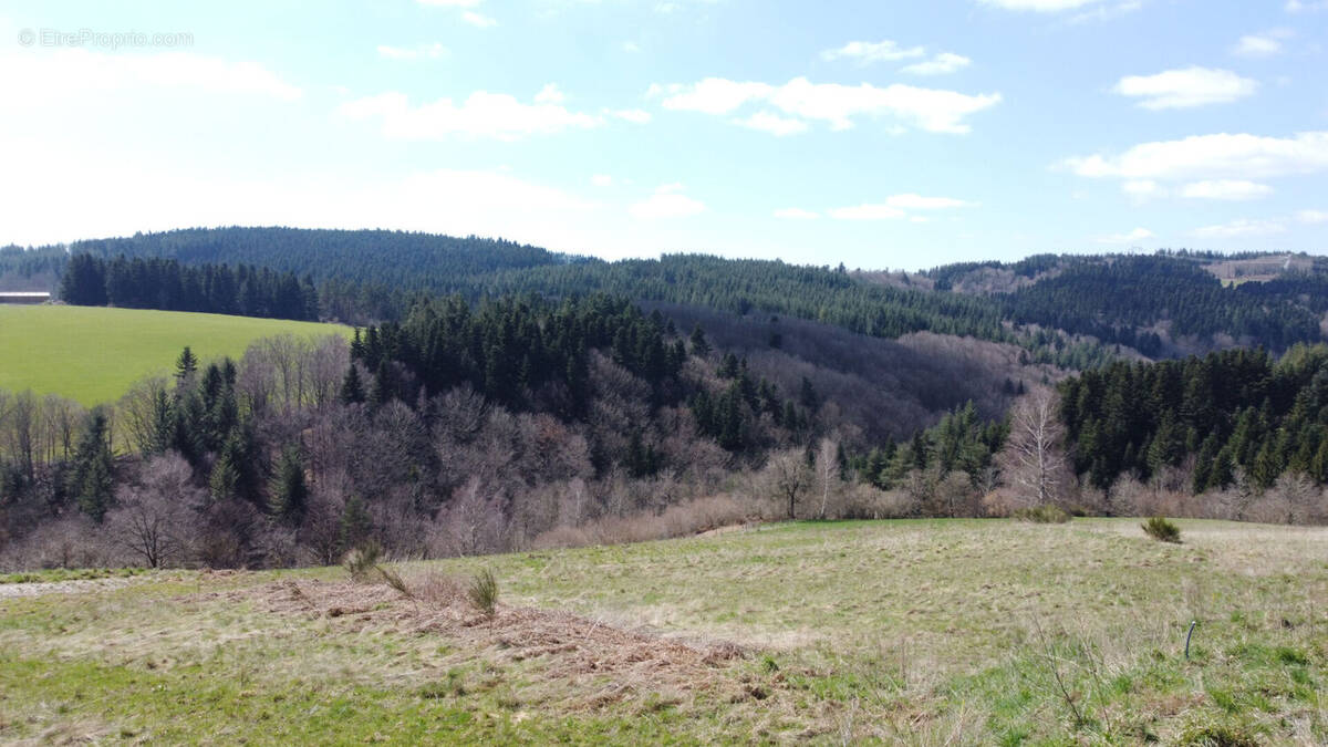 Terrain à SAINT-ROMAIN-LES-ATHEUX