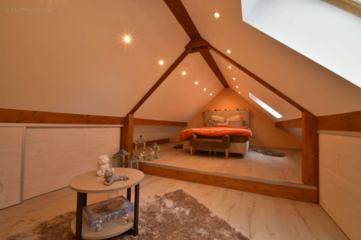 Maison à vendre 11 pièces LULLY (74) - photo 33