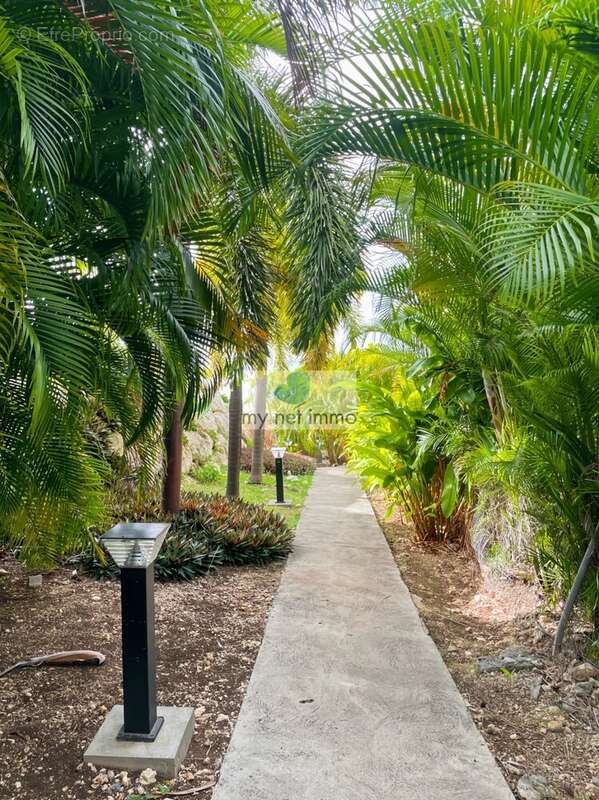 Appartement à SAINT-FRANCOIS