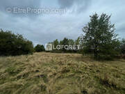 Terrain à LA VILLE-DIEU-DU-TEMPLE