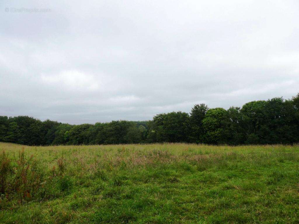 Terrain à PLOURAY