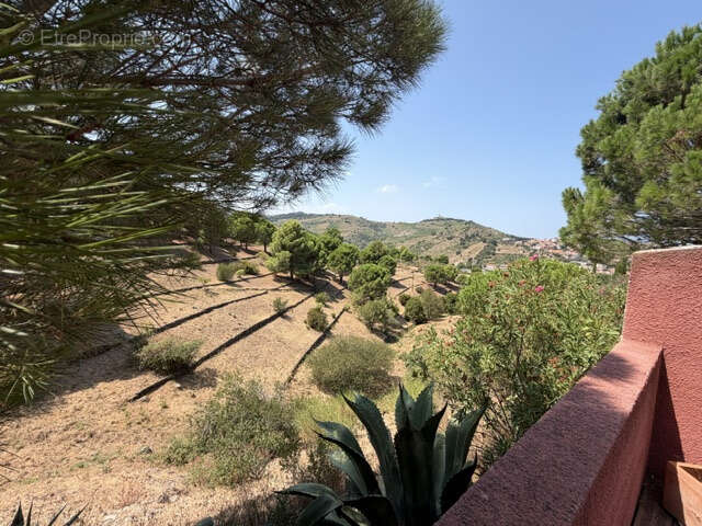 Port-Vendres : villa avec terrasse 3 pièces à acheter - photo 31
