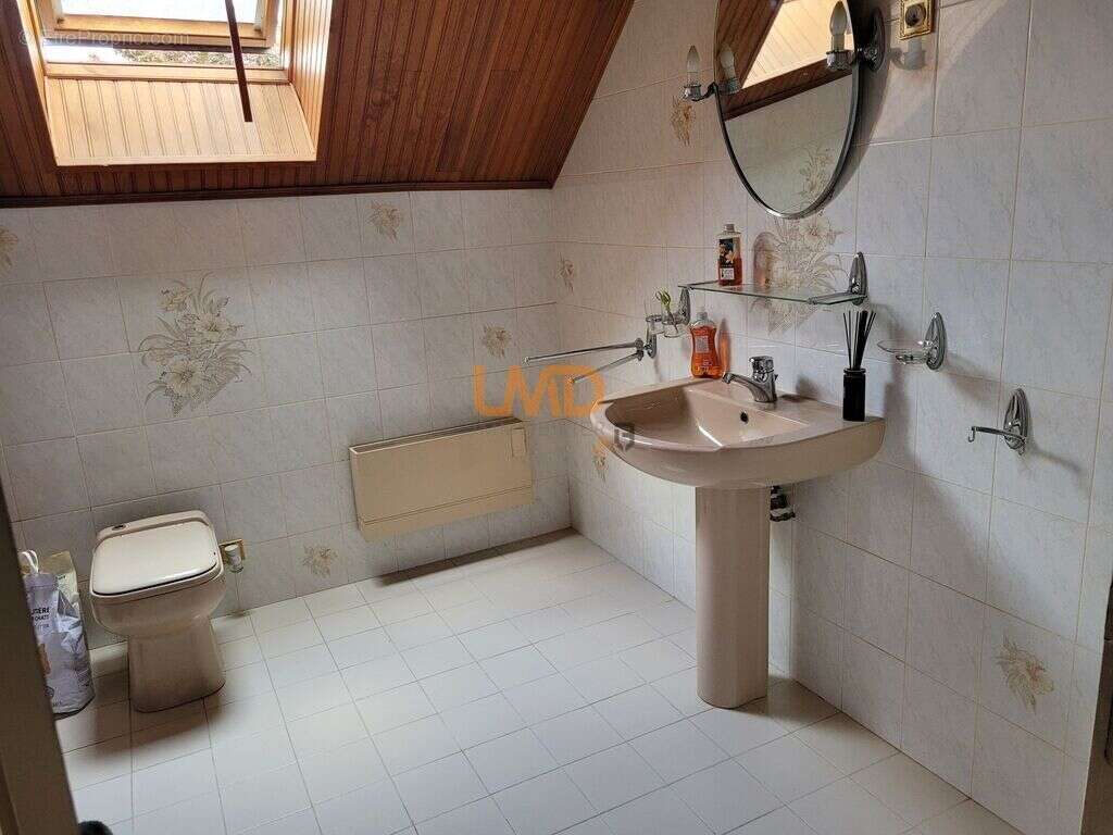 Bray sur Seine, maison 3 chambres avec sous-sol total et Piscine - photo 11