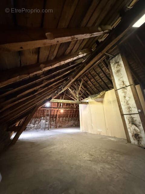 Château XVIIIᵉ   Projet de division en plusieurs logements   Parc 11 400 m2 - photo 12